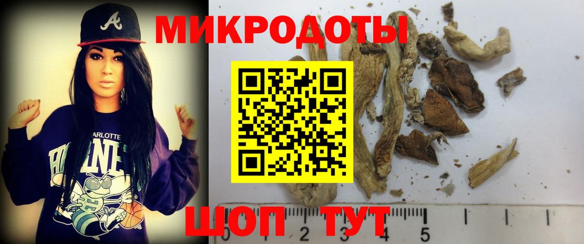Галлюциногенные грибы Psilocybe Ипатово